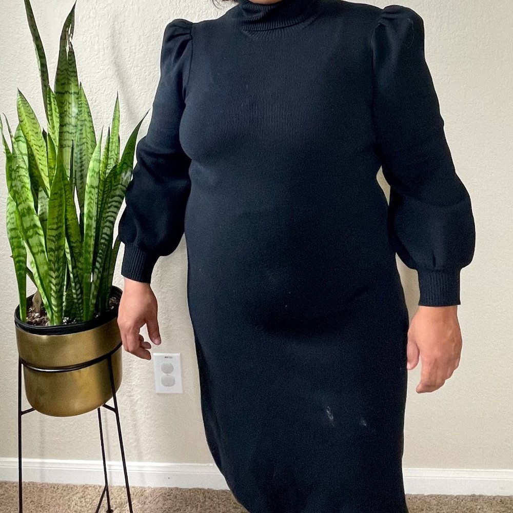 Who What Wear Turtle Neck Dress